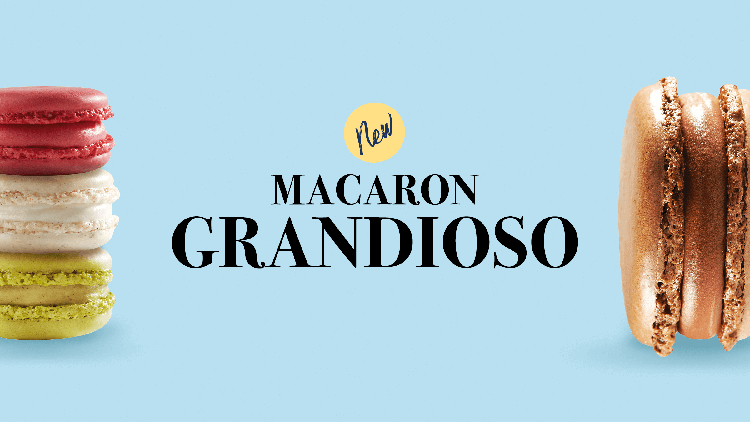 Image principale article