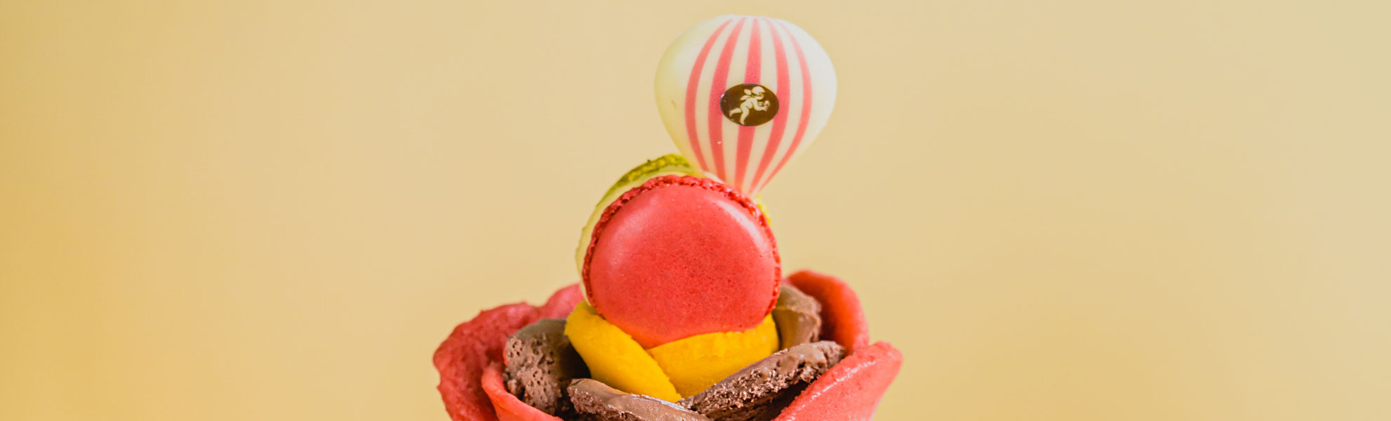 Image principale article