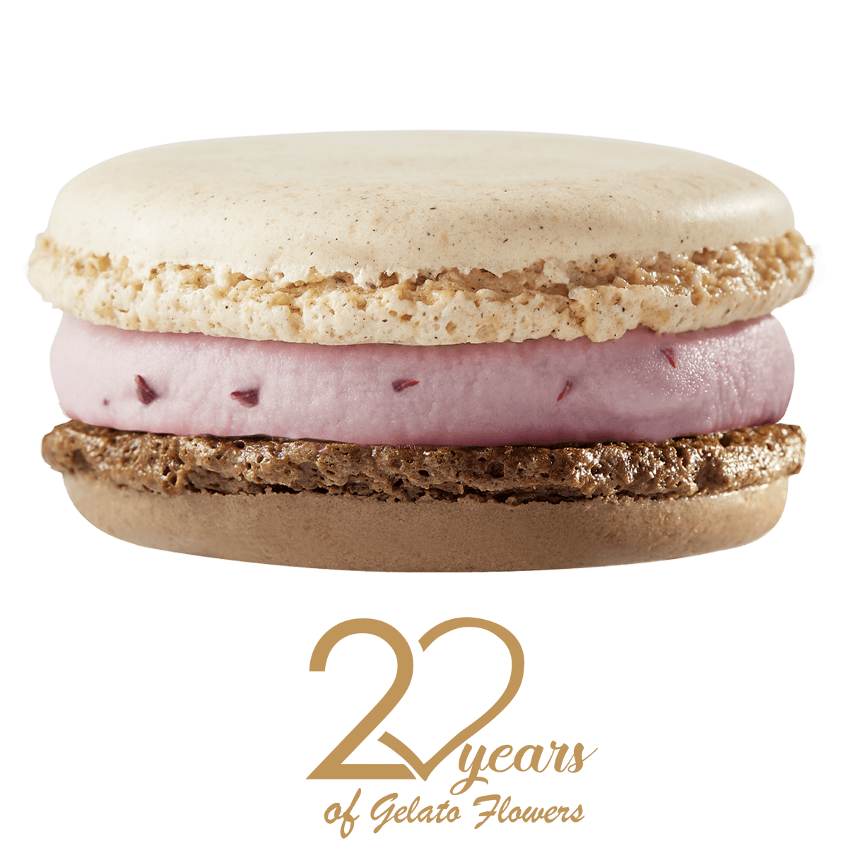 Grandioso macaron and Amorino 20th anniversary logo