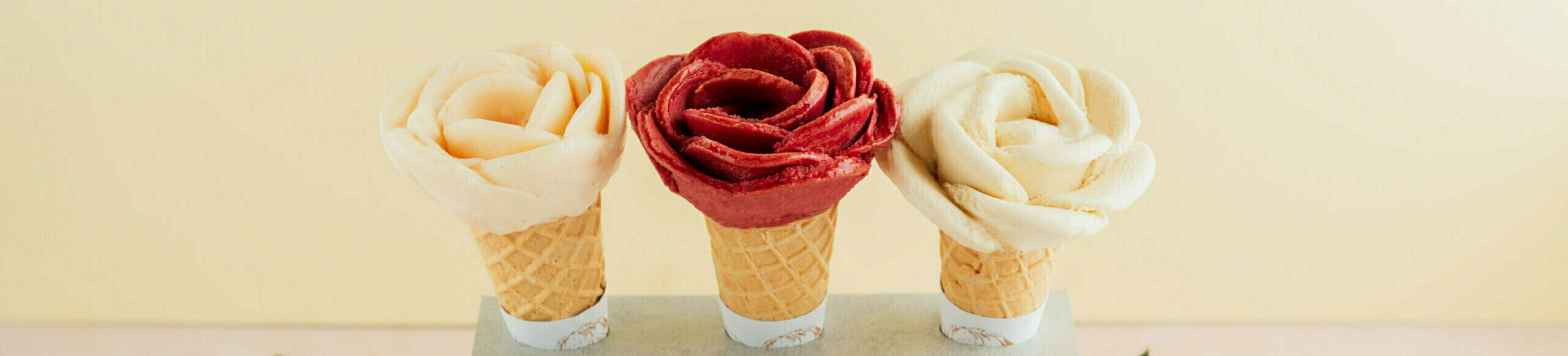 Image principale article