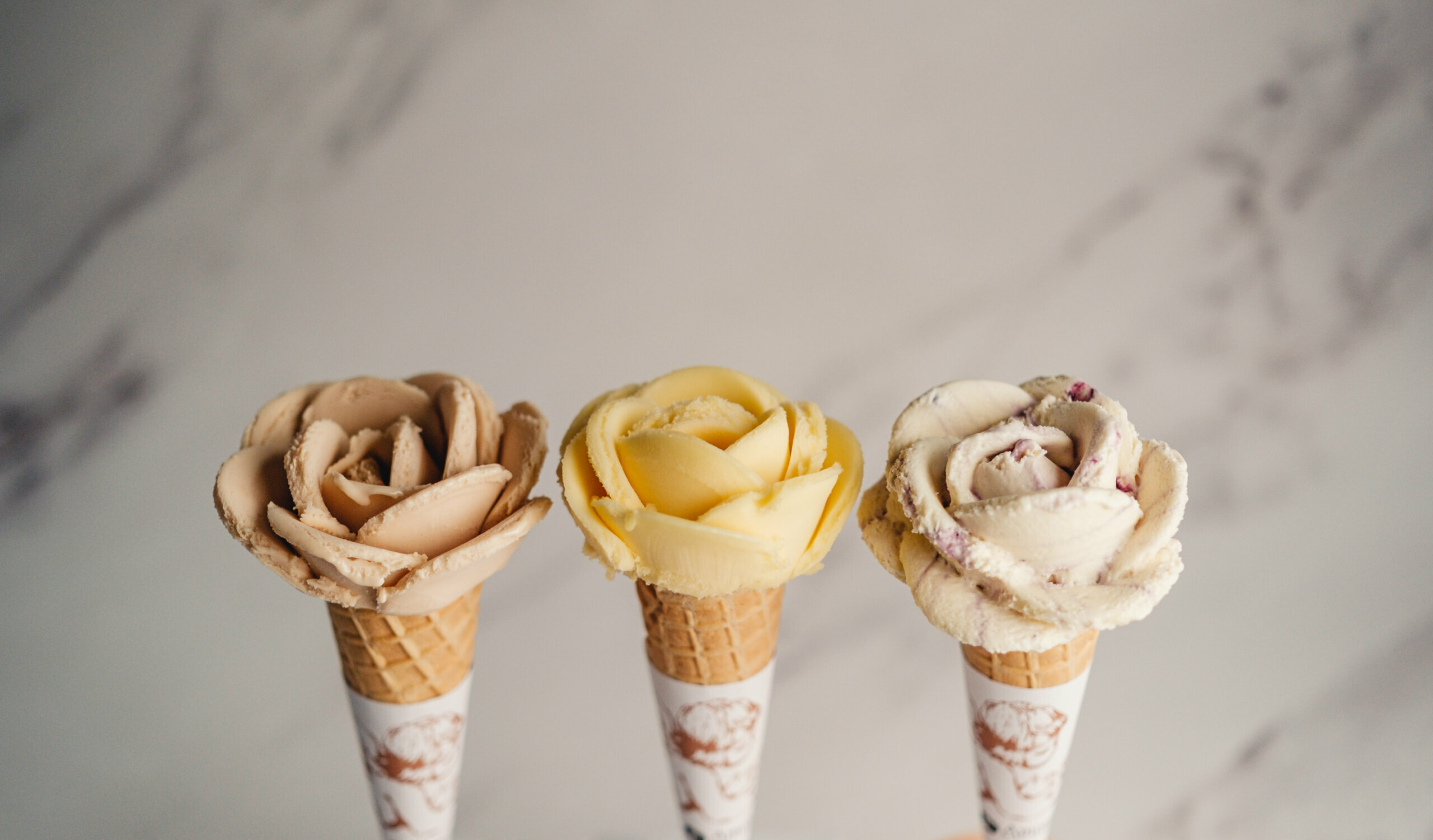 Image principale article