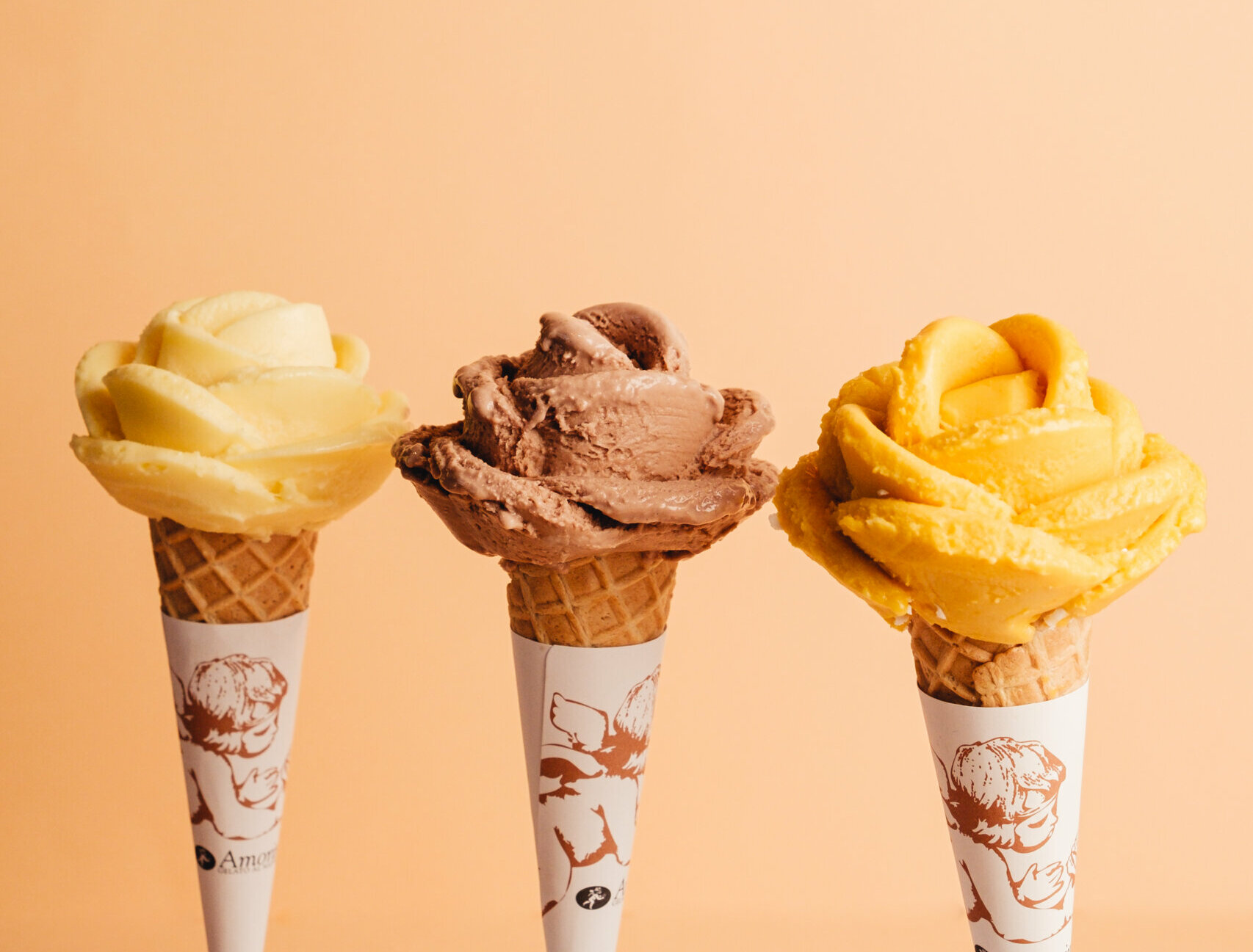 Image principale article