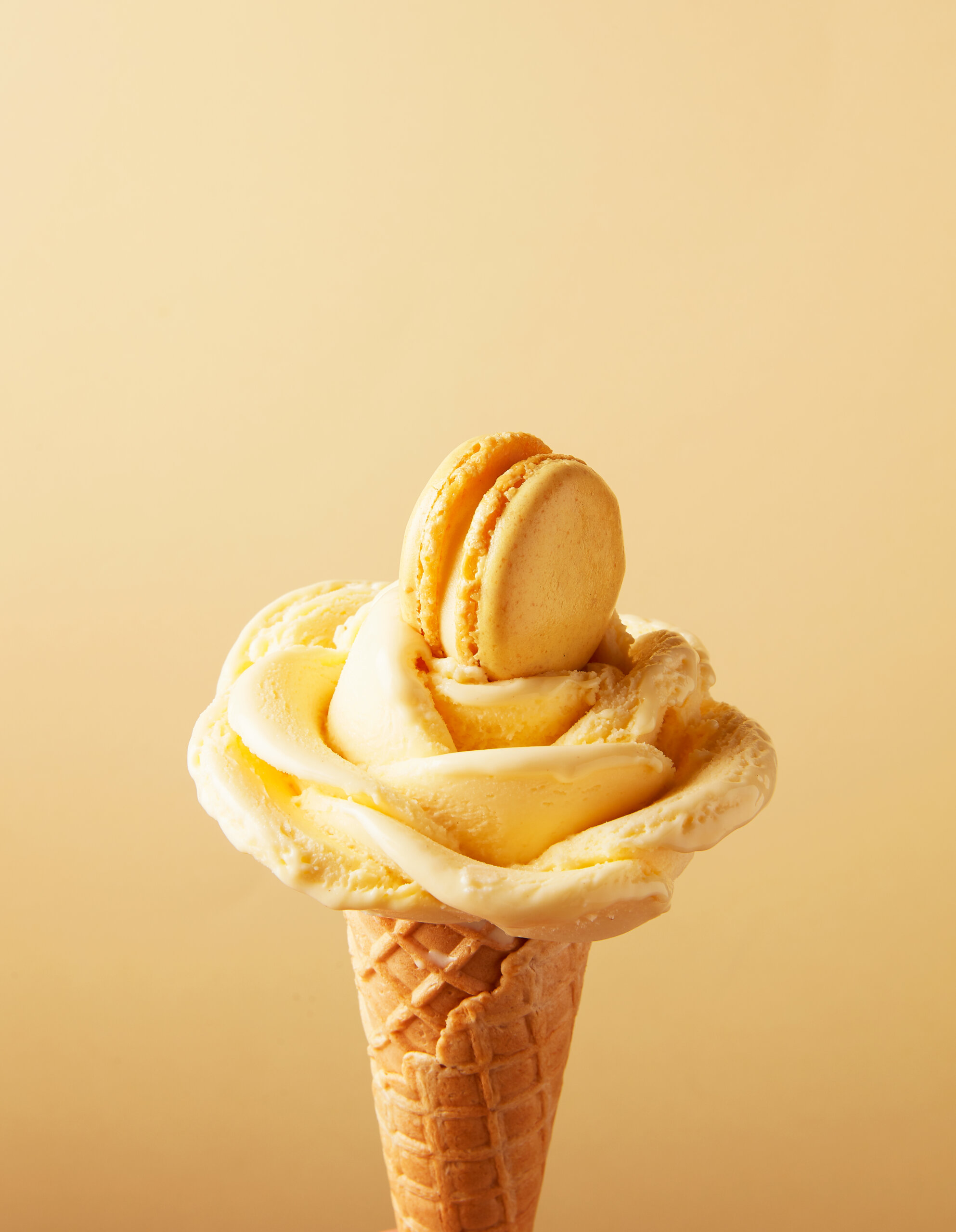 Image principale article