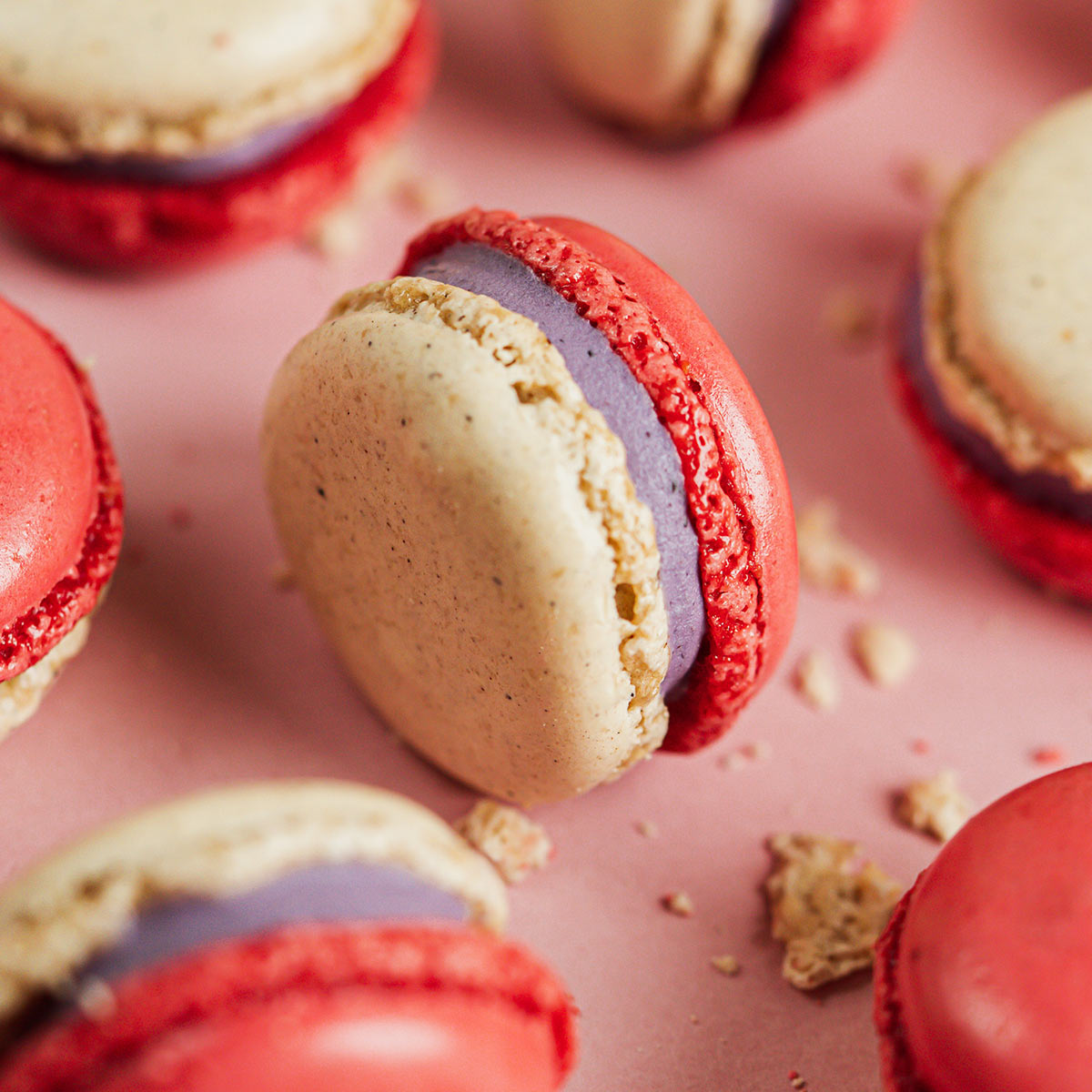Cheesecake macaron – Amorino