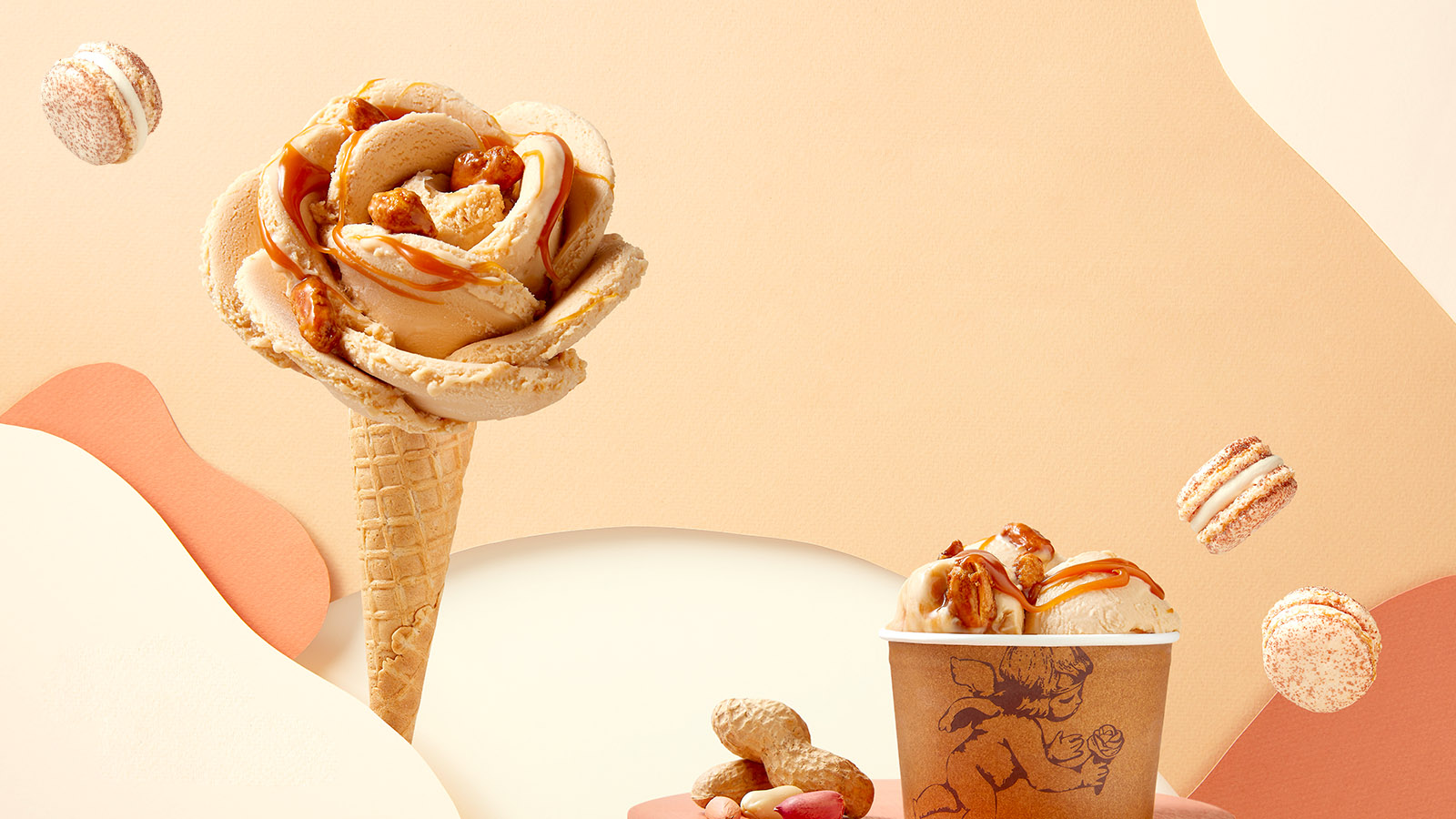 Image principale article