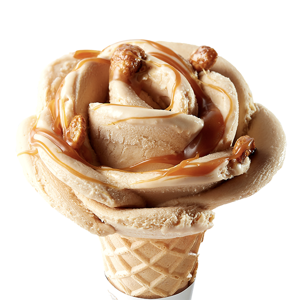 Image principale produit