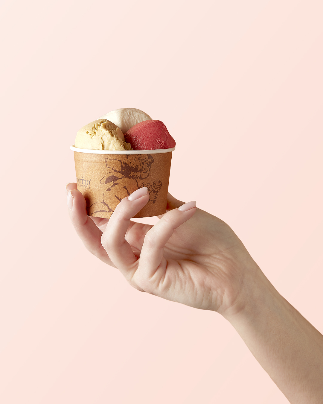 Image principale article