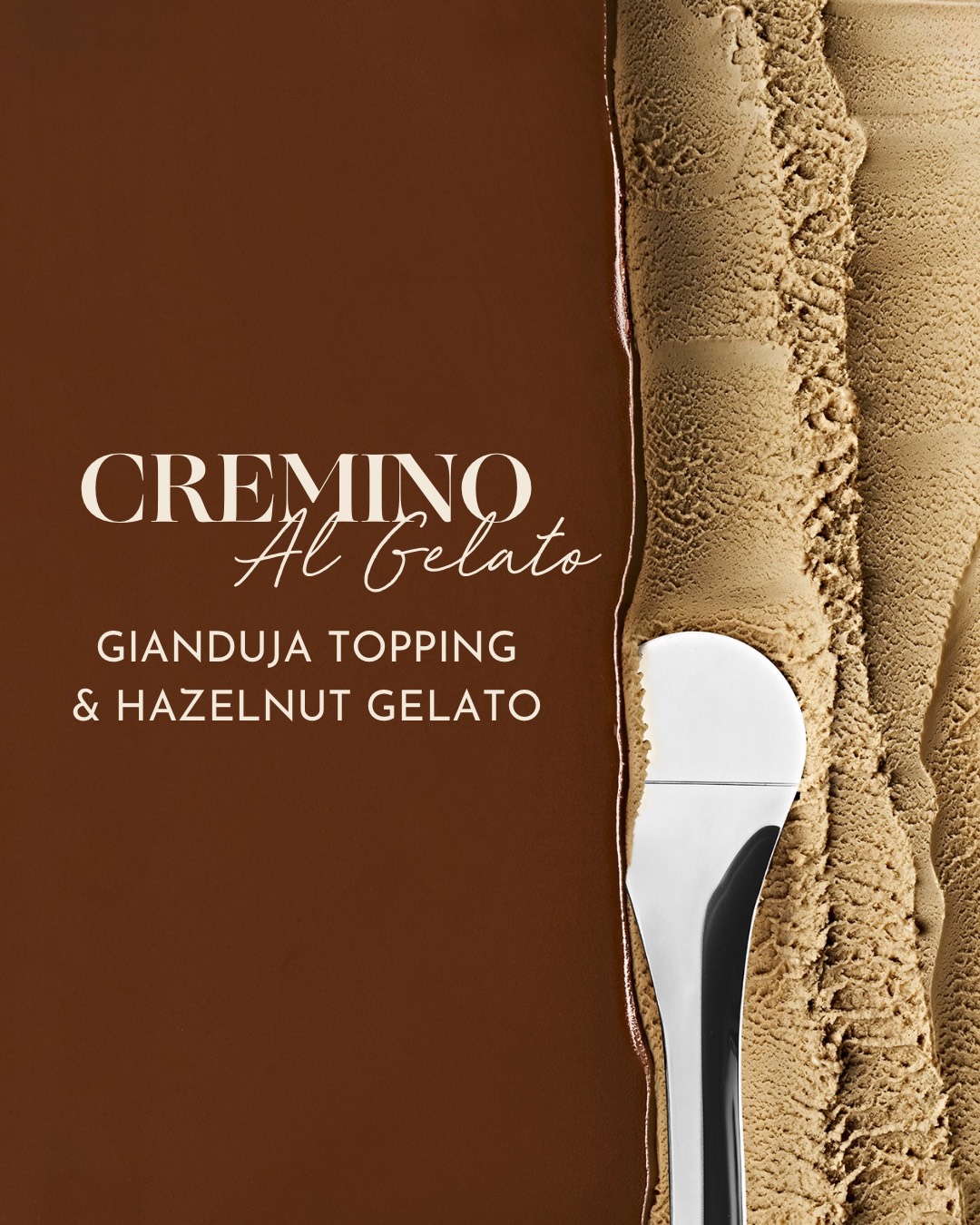 Image principale article